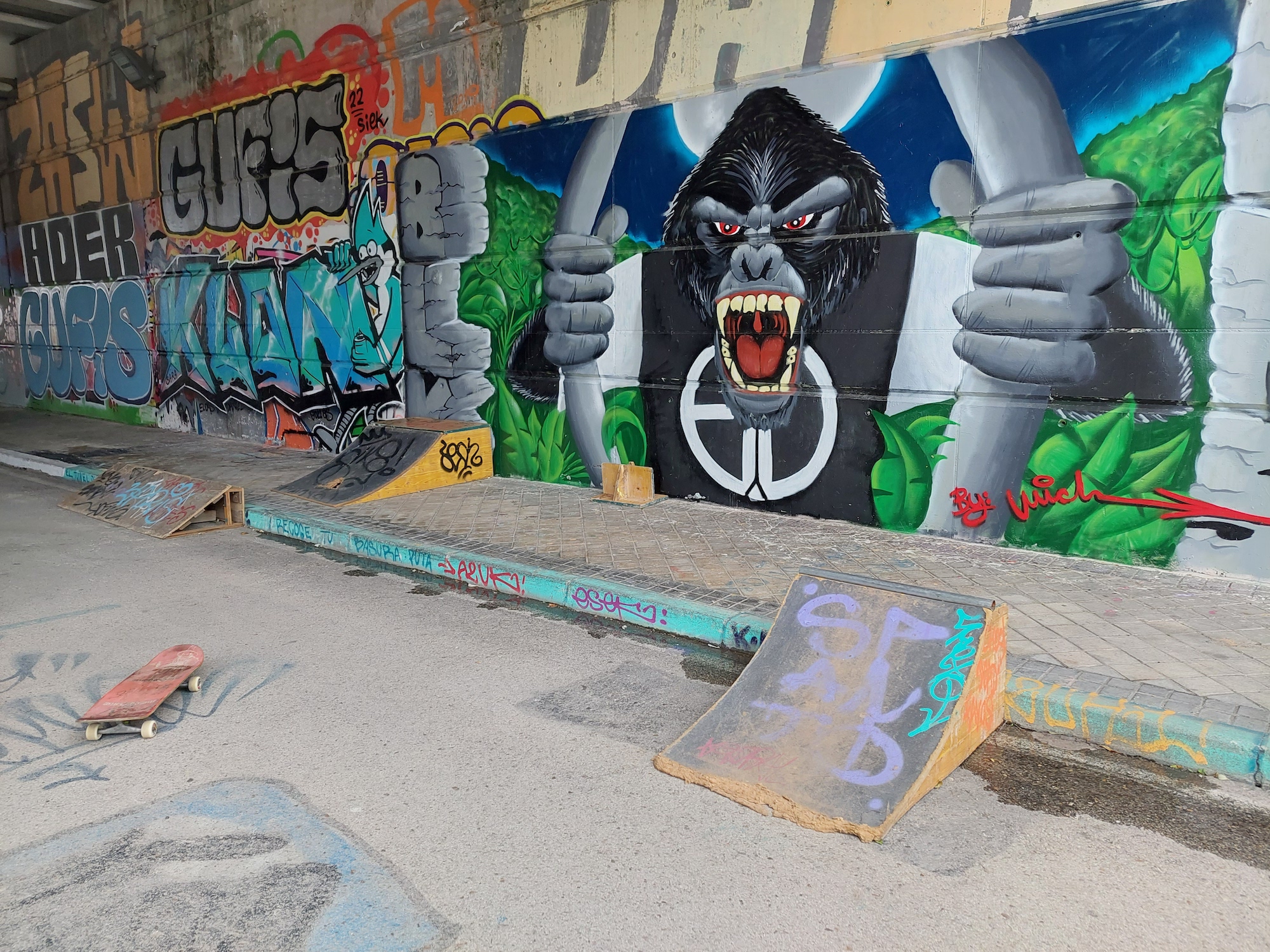 El Túnel DIY skatepark